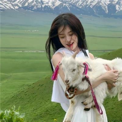 家庭剧情